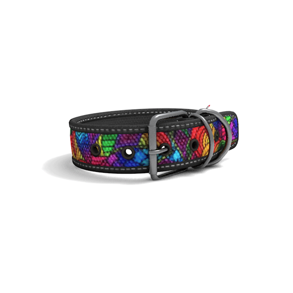 Collar Perro Cool Can Collar Perro Cool Can